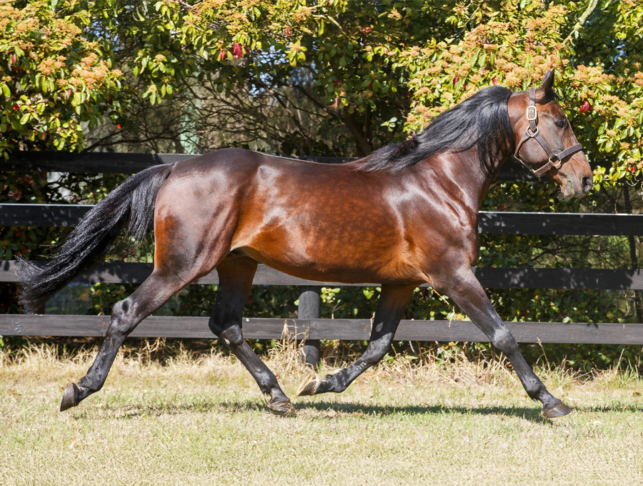 Volstead - Alabar Farm