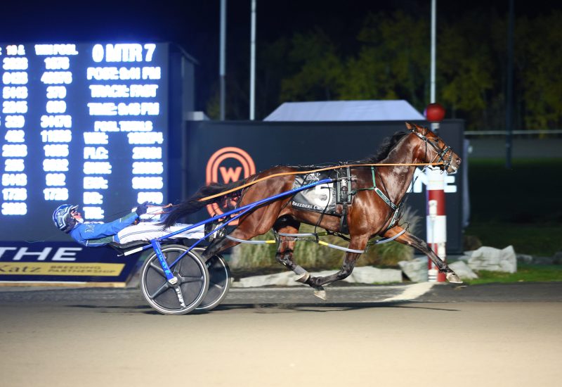 <strong>Pebble Beach secured by Alabar and Nevele R</strong>