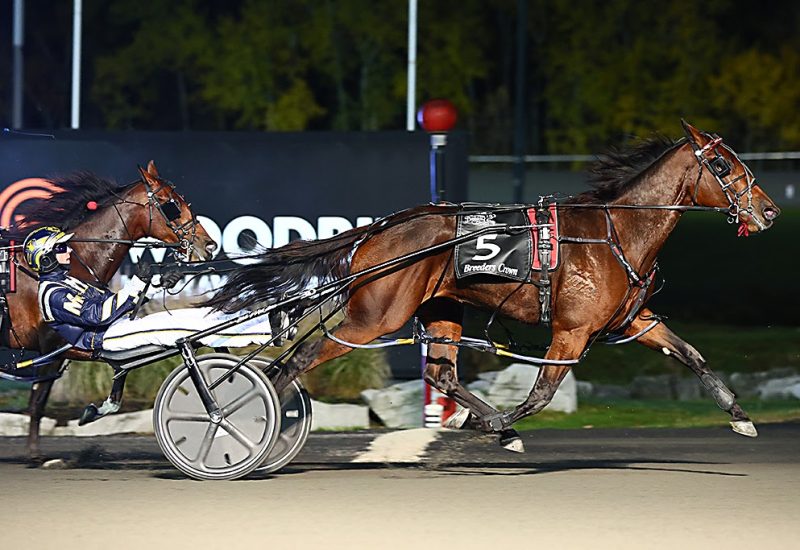 Sylvia Hanover is 2YO Pacing Filly of the Year