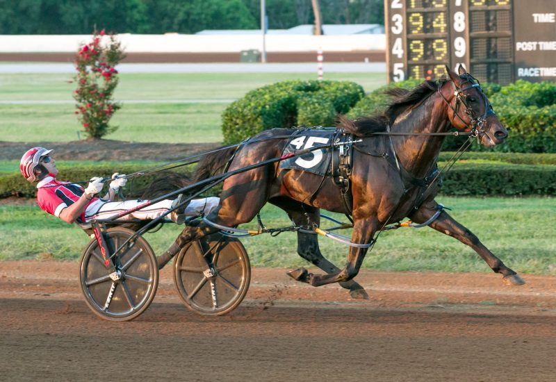 BETTOR’S WISH TO STAND AT ALABAR