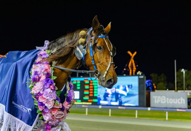 Taking The Miki wins Group 1 WA Oaks