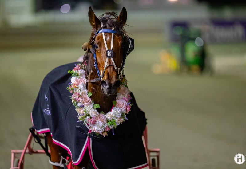 Taking The Miki wins Group 3 WASBA Breeders Stakes