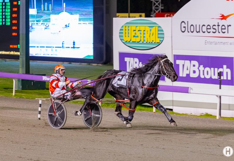 2YO daughter of Ultimate Machete wins at Gloucester Park