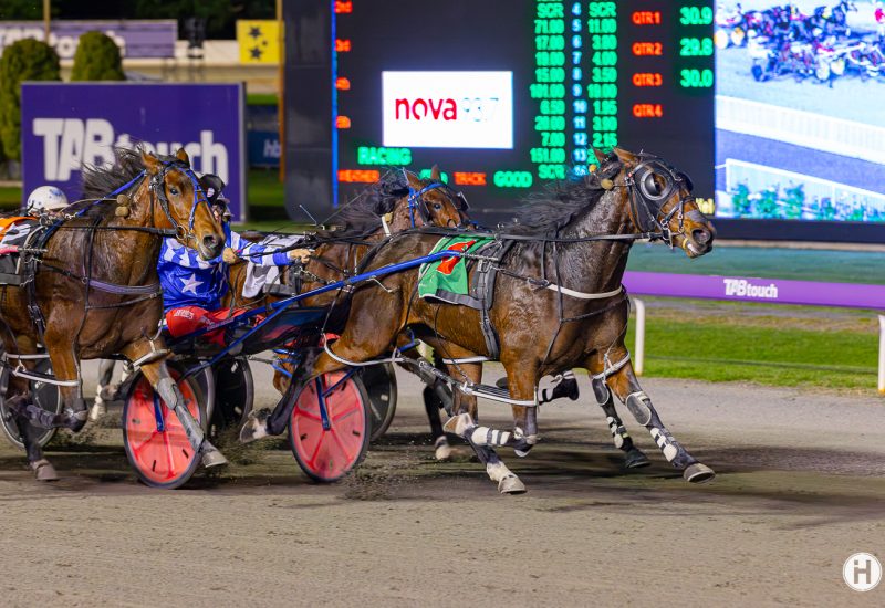 Brulee the latest stakes winner for Vincent