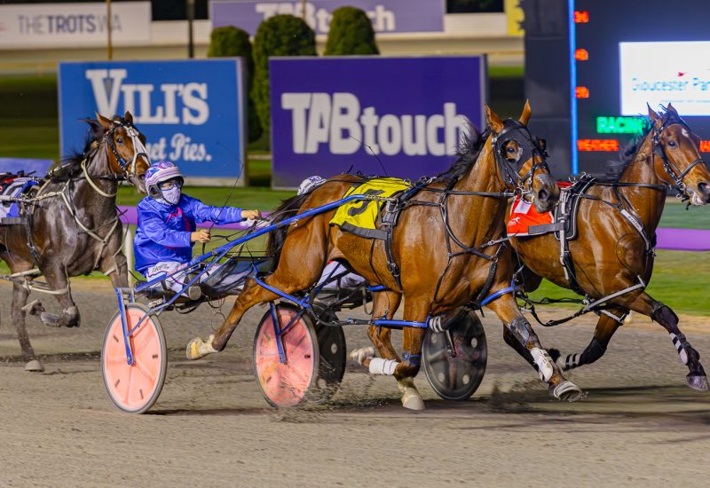 8th stakes winner for Vincent