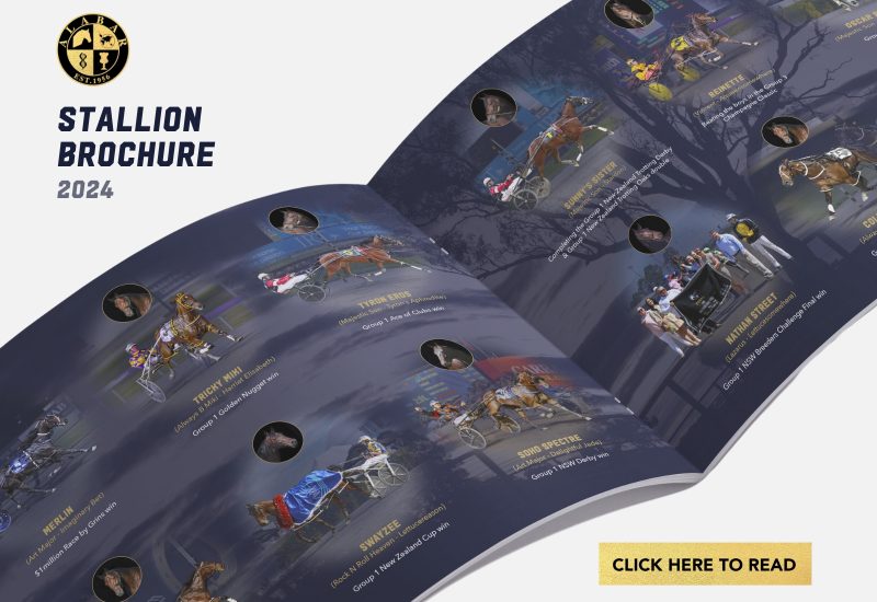 Check out the 2024 Alabar Brochure