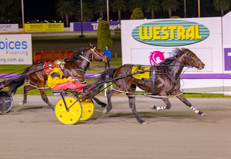 Alabar’s Weekend of Winners