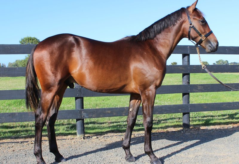 Miki Shan wins in nice style