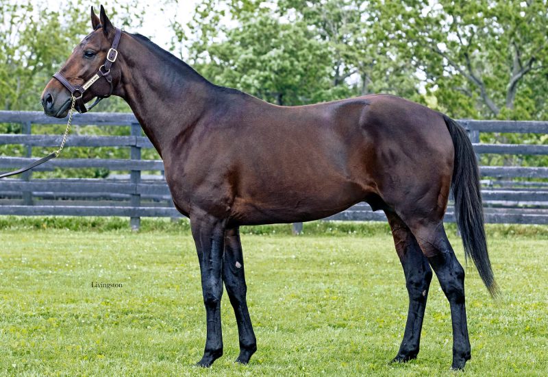 Always B Miki two year olds impress