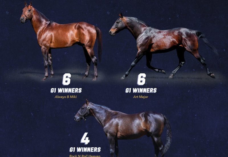 Which stallions are leading the pacing Group 1 ranks?