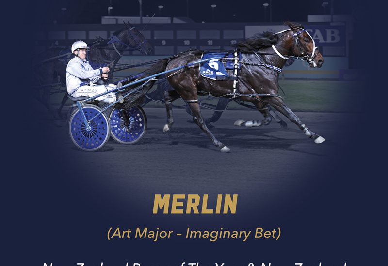 2024 New Zealand Awards