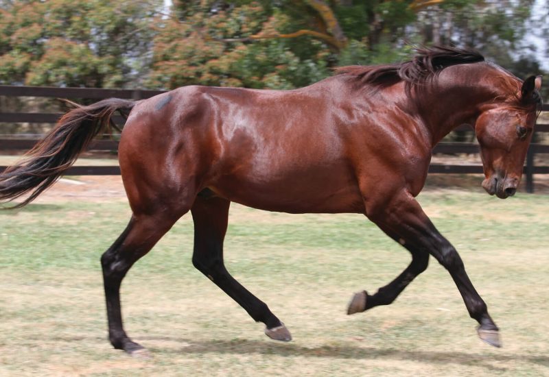 Always B Miki off to a flying start