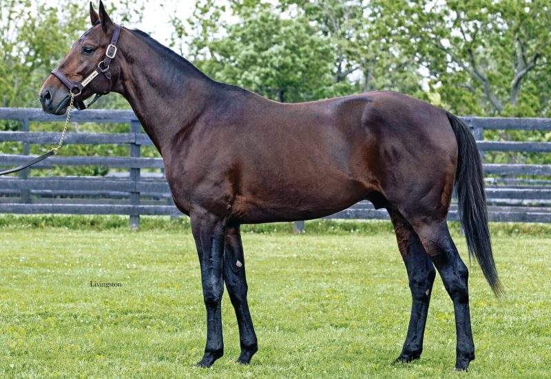 ALWAYS B MIKI OFF TO A FLYING START