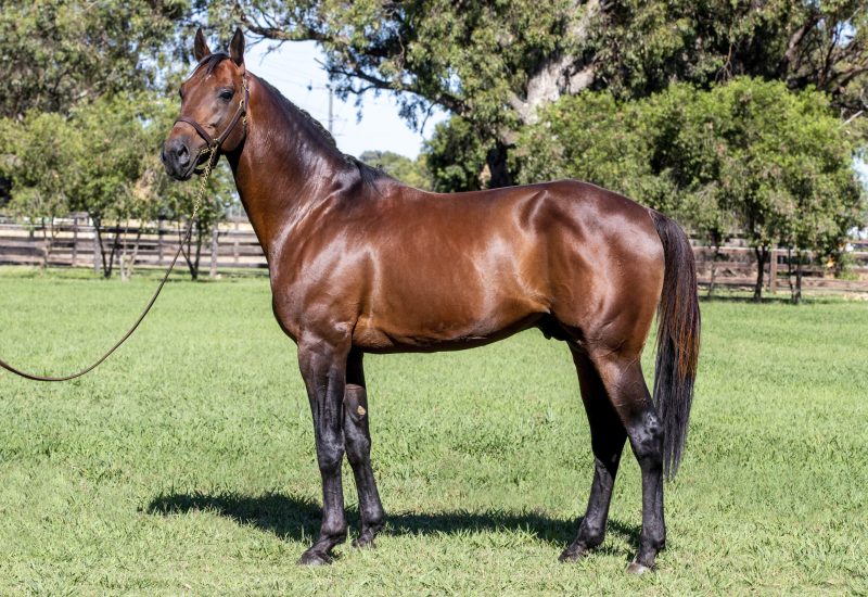 Alabar Weekend of Winners