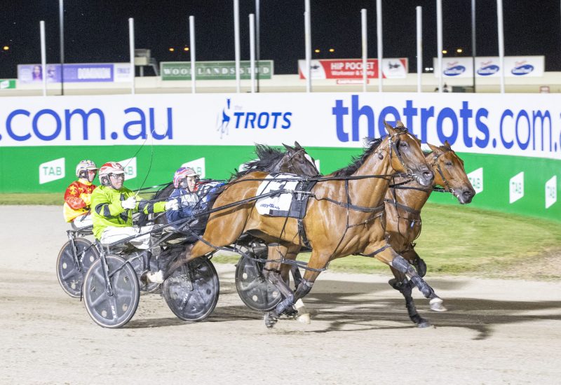 Amore Vita back to her best