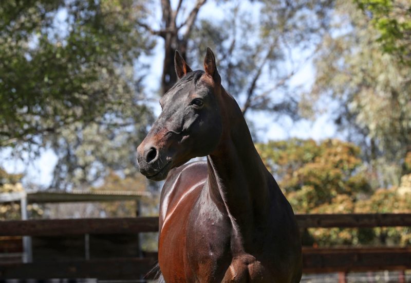 Aureus is first class