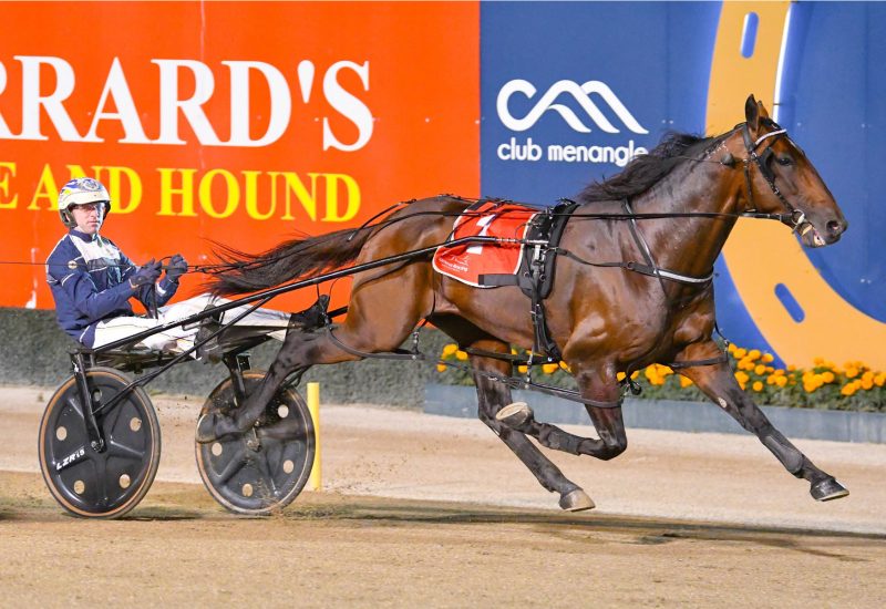 Bay Of Biscay returns home to begin his stud career at Alabar