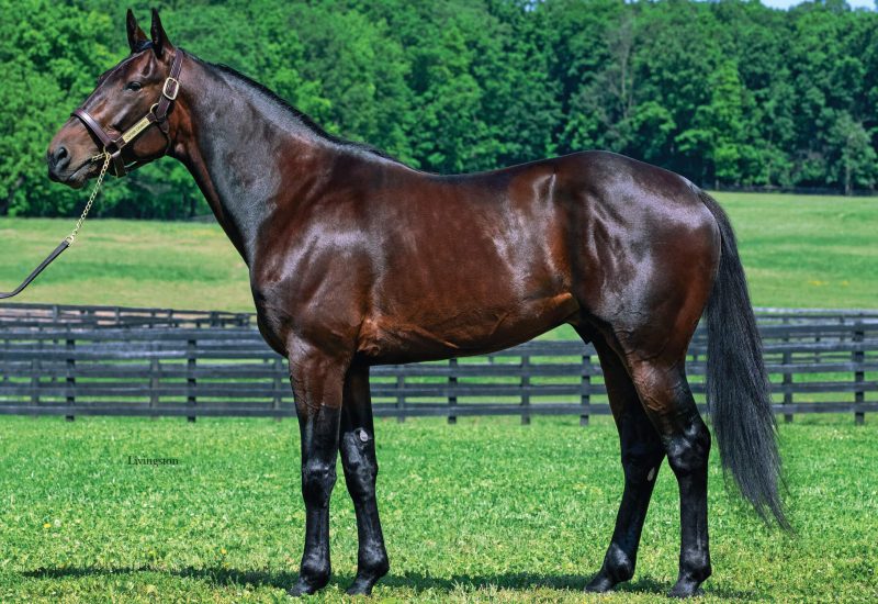 Captain Crunch on the board