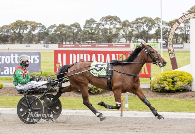 Daughter of Majestic Son wins the Redwood Classic