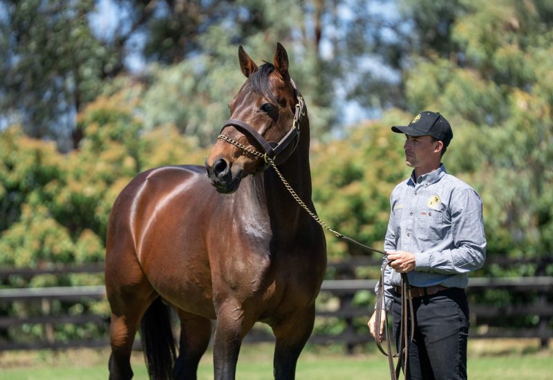 Painting a Powerful Picture on the Track