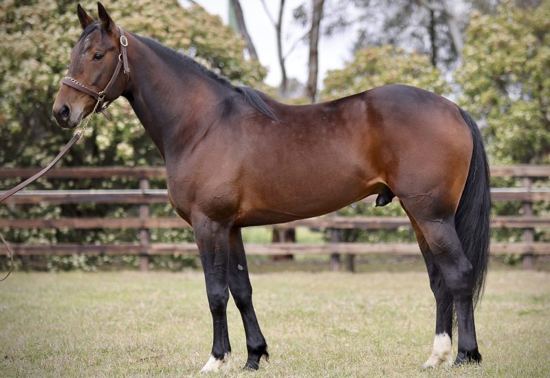 Elite Stride Anthony Butt Chris Alford