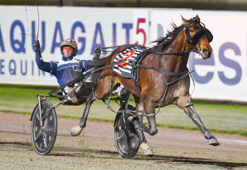 Group One winner number 69 for Art Major