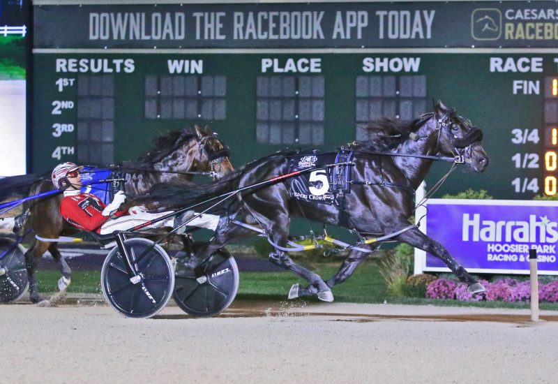 A Breeders Crown winner for Breeders Crown winner