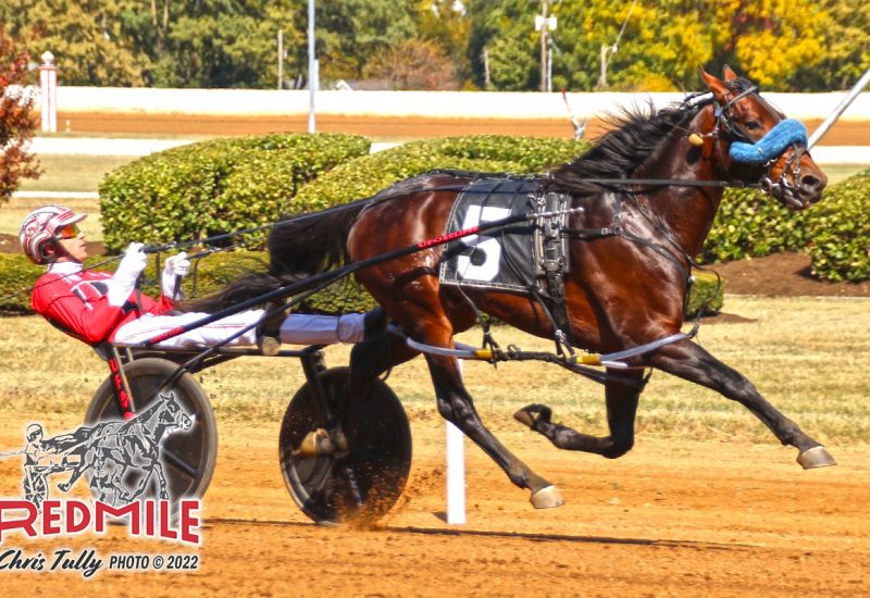 Son of Lazarus doubles up at the Red Mile