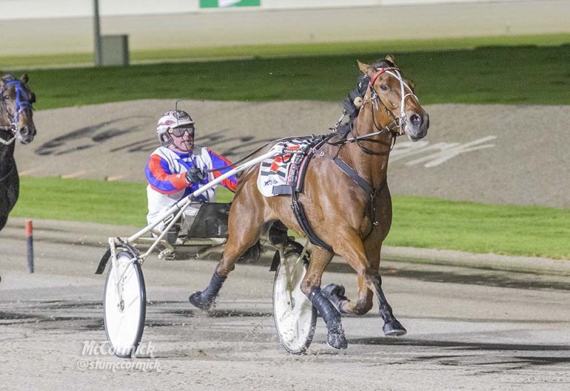 Harry Stamper wins Breeders Crown Final