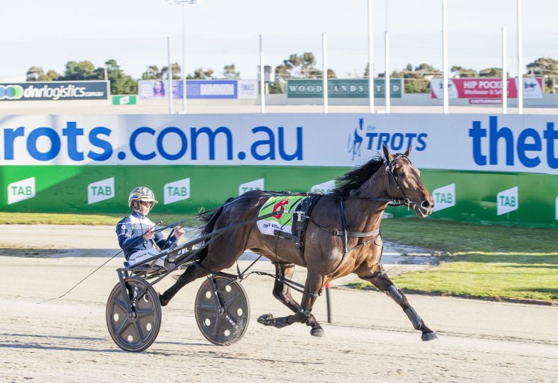 Race 3: Tabcorp Park, Friday 25-11-2022
 Heywoods - Shepparton Motor Panels 2YO Pace
 Winner: Joyful (6)
 Trainer: Emma Stewart; Driver: Mark Pitt  
 Race Distance: 2,240 metres, Mile Rate: 1.56.1