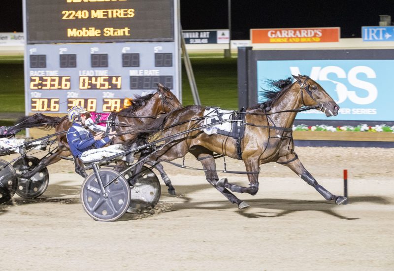 A Joyful Vicbred win