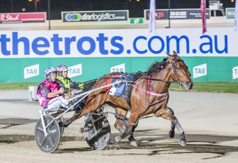 Race 8: Tabcorp Park, Breeders Crown Finals, Saturday 21-11-2020
 Captain Crunch Breeders Crown Series 23 (2YO Fillies) Final (Group 1)
 Winner: Ladies In Red (10)
 Trainer: Emma Stewart; Driver: David Moran
 Race Distance:  2,240 metres, Mile Rate: 1.54.5