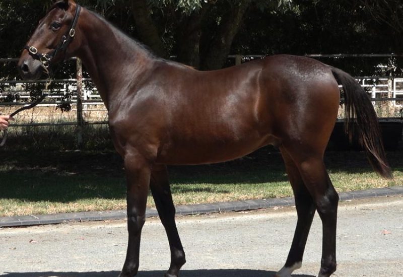 Strong sale for Vincent