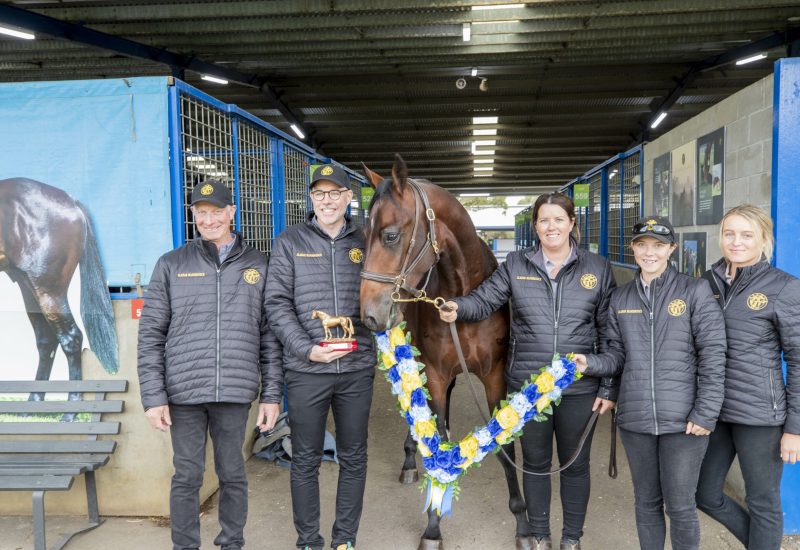 Alabar sires to the fore at Melbourne sale
