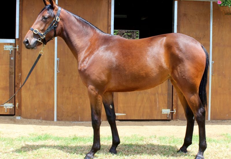 Timely pedigree updates