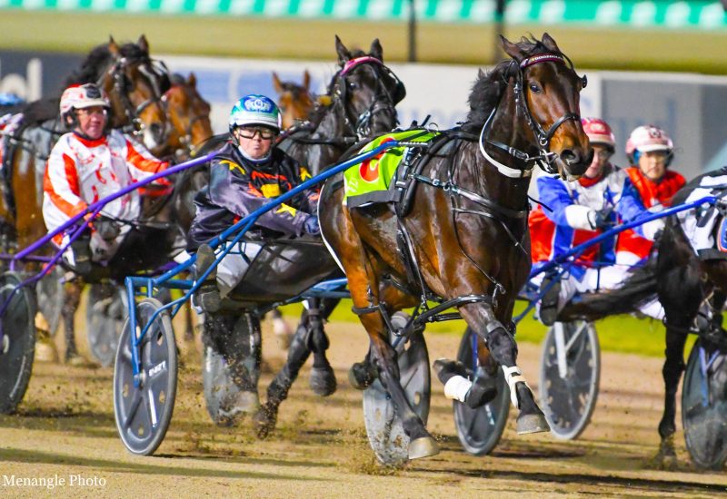 Daughter of Art Major wins HRNSW 2YO NSW Bred Final