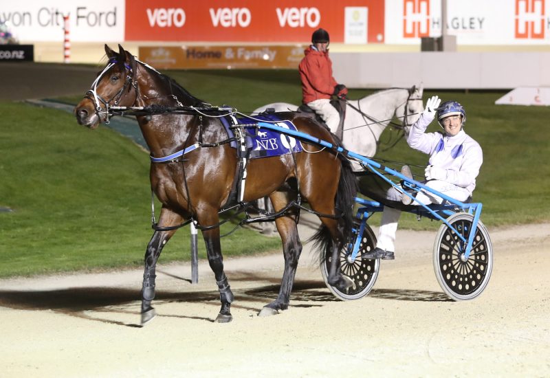 Merlin remains unbeaten in 8 starts