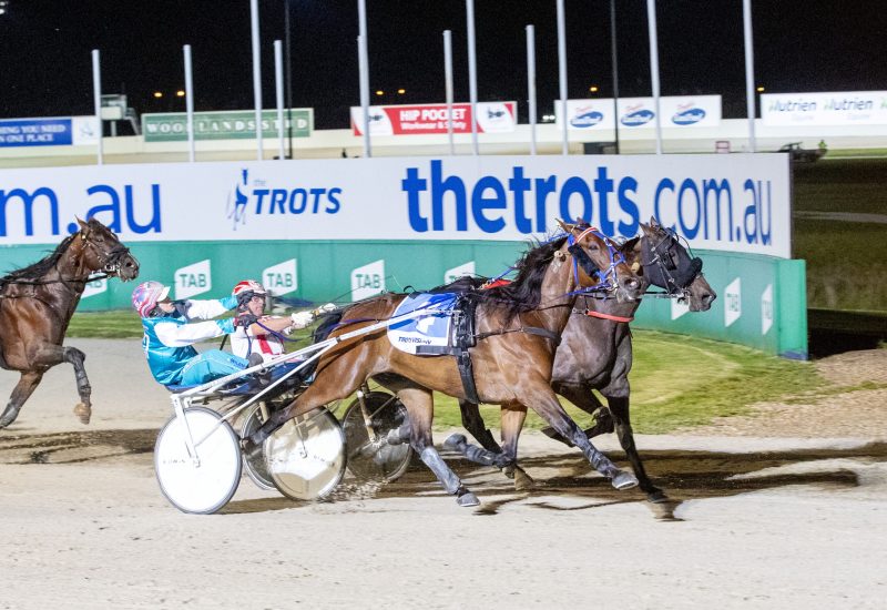 Majestuoso wins Inter Dominion heat