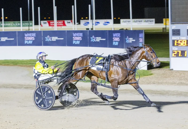 Moonlight Moth Dominates the Premiere Stakes
