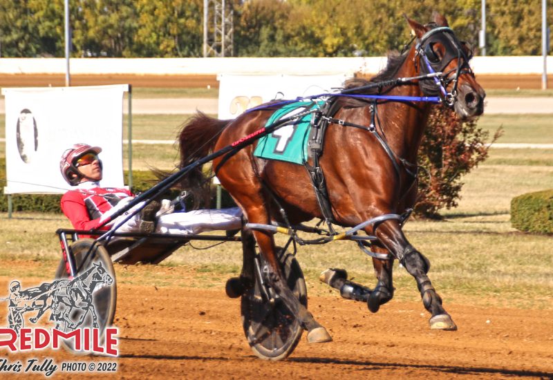 Niki Hill simply dominant