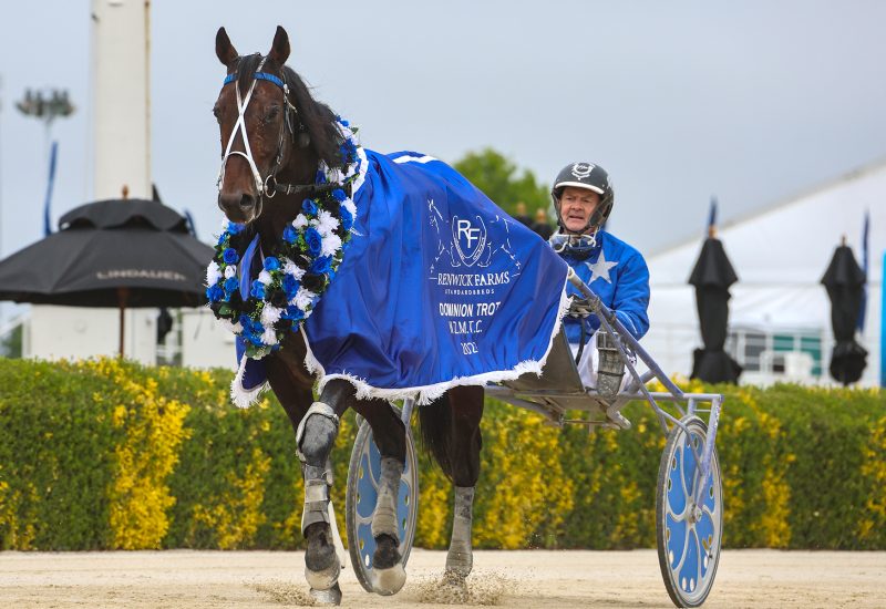 Fourth Dominion in succession for Majestic Son