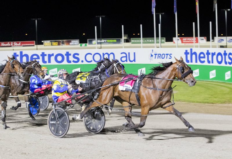 Second metropolitan win for son of Vincent