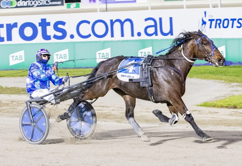 Race 4: Tabcorp Park, Saturday 8-10-2022
 The VHRC Caduceus Holmfield (Group 2)
 Winner: Plymouth Chubb (4)
 Trainer: Peter Manning; Driver: Kerryn Manning
 Race Distance: 1,720 metres, Mile Rate: 2.00.6
