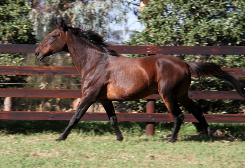 This Ball was a perfect ten
