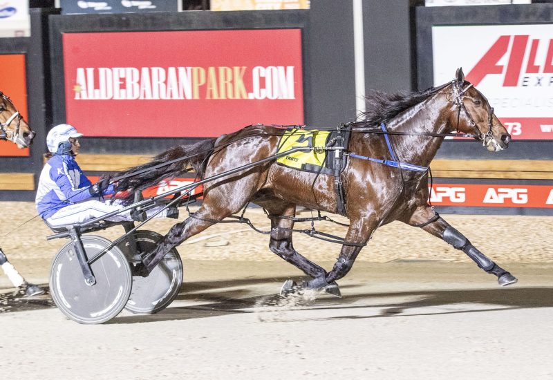 Ride High Kima Frenning
Melton 4/7/2020