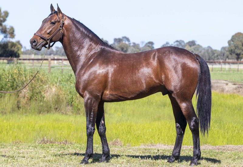 “He’s a power sprinter”