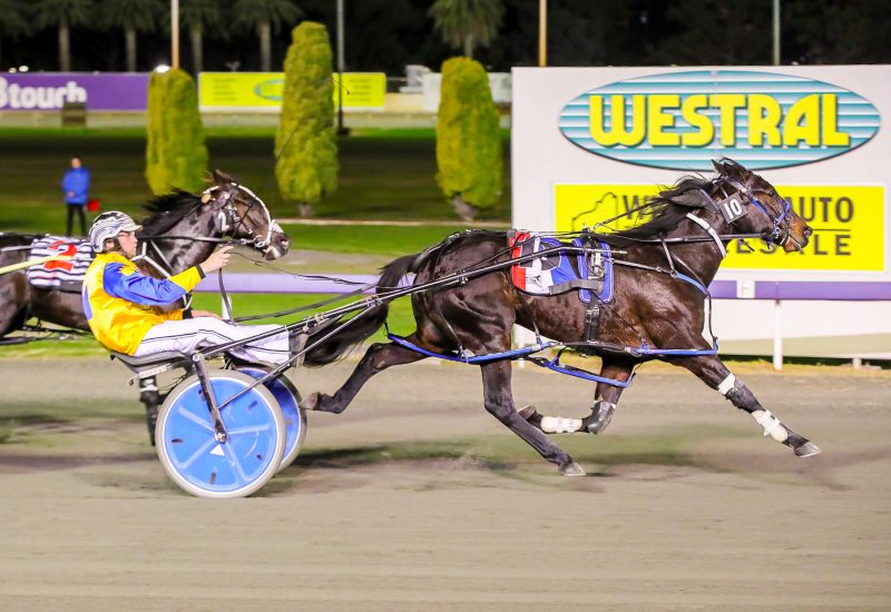 Group 1 winner for A Rocknroll Dance