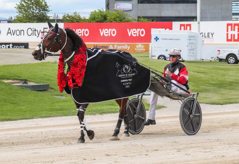 Sundees Son smashes the clock to make it back to back Dominions