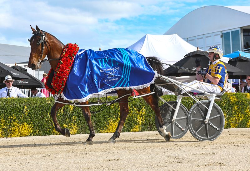A NZ Cup for a son of Rock N Roll Heaven!