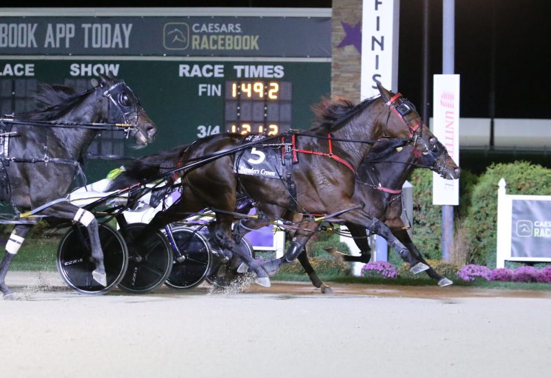 Fighting Breeders Crown win for Sylvia Hanover